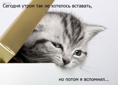 36239050_61328.jpg