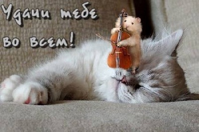 удачи.jpg