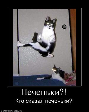 печенькиi.jpg