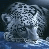 20738_5f4eb519.gif