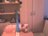 DSC00205.JPG