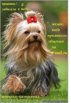 991676472.jpg
