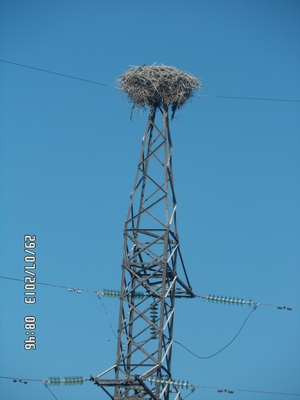 Крым6.JPG