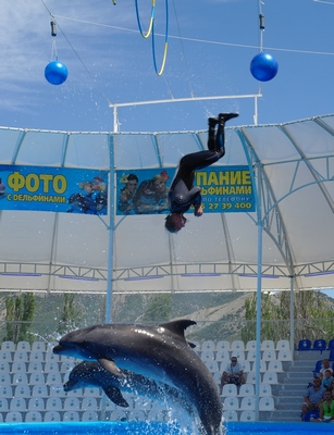 Дельфинарий2.JPG