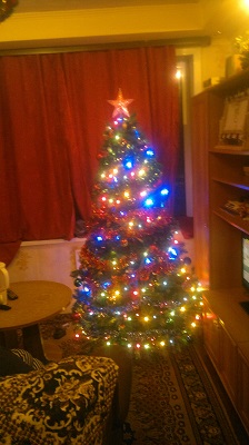 2013-12-08-276.jpg