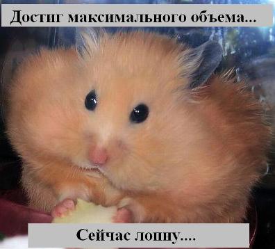 ee2b98881d2f.jpg